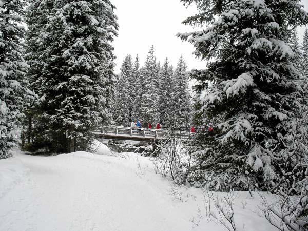 bild015