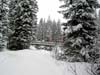 bild015